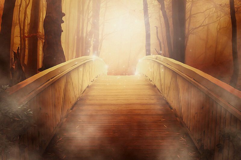 Footbridge into woods